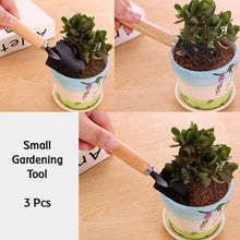 Small sized Hand Cultivator, Small Trowel, Garden Fork (Set of 3) - dailyneed.life