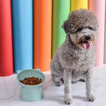 Plastic Multipurpose Bowl, Food Bowls (1 Pc) - dailyneed.life