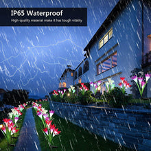 Waterproof Outdoor Solar Lily Flower Stake Lights ( Pack Of 2 pcs ) - dailyneed.life