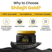 Himalayan Shilajit Gold Resin – 20g | Helps improve Stamina | Contains Gold - dailyneed.life
