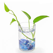 Glass Gem Stone, Flat Round Marbles Pebbles for Vase Fillers, Attractive pebbles for Aquarium Fish Tank. - dailyneed.life