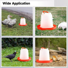 Automatic Chicken Drinker Chicken Feeder with Humanized Handle - dailyneed.life