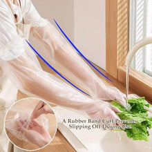 Disposable Plastic Gloves For Kitchen Food Handling (1 Pair) - dailyneed.life