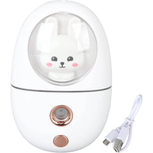 USB Rechargeable Bunny Design Mini Humidifier & Mist Sprayer - dailyneed.life