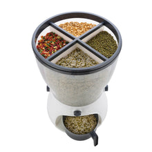 4-in-1 10L Rice & Grain Storage Dispenser - dailyneed.life