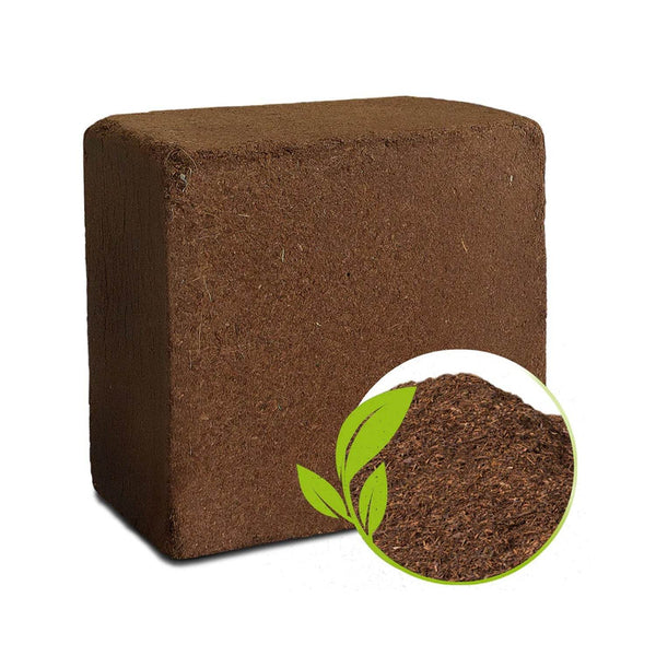 Cocopeat Block Organic Fertilizer and Soil Manure Potting Mixture for Home Gardening and Potted Plants (1 KG.) - dailyneed.life