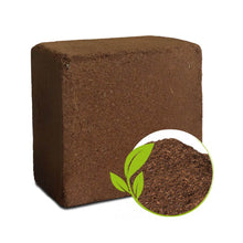 Cocopeat Block Organic Fertilizer and Soil Manure Potting Mixture for Home Gardening and Potted Plants (1 KG.) - dailyneed.life