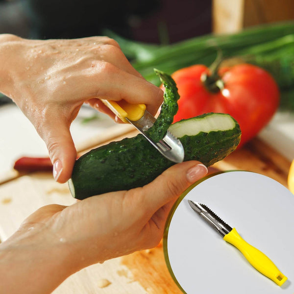Ganesh Stainless Steel Classic Peeler - dailyneed.life