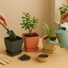 Trendy Square Plastic Flower Pots Set of 5 - dailyneed.life
