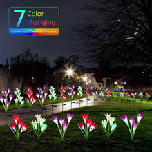 Waterproof Outdoor Solar Lily Flower Stake Lights ( Pack Of 2 pcs ) - dailyneed.life