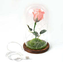 Glass Flower with Led Light Great Gift (1 Set) - dailyneed.life