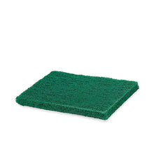 Scrub Sponge Cleaning Pads Aqua Green 10PCS - dailyneed.life