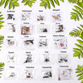 Seeds 20 Varieties of Flower Seeds Combo (1 Pkt / 20 Varieties) - dailyneed.life