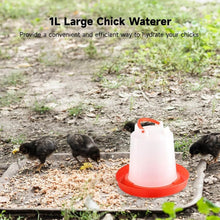 Automatic Chicken Drinker Chicken Feeder with Humanized Handle - dailyneed.life
