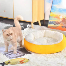 Pet Dog Bed General Thickening Dog Mat (1 Pc / Mix Design & Color) - dailyneed.life