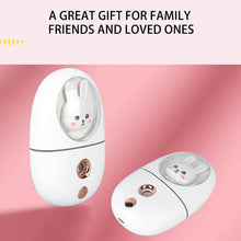 USB Rechargeable Bunny Design Mini Humidifier & Mist Sprayer - dailyneed.life