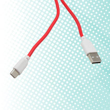 Type C data cable Fast Charging Data Cable (1000 MM / 65W / 1 Pc) - dailyneed.life