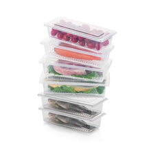 Vegetables & Fruits Freezer Storage Container (PACK OF 6PC 1500ML) - dailyneed.life
