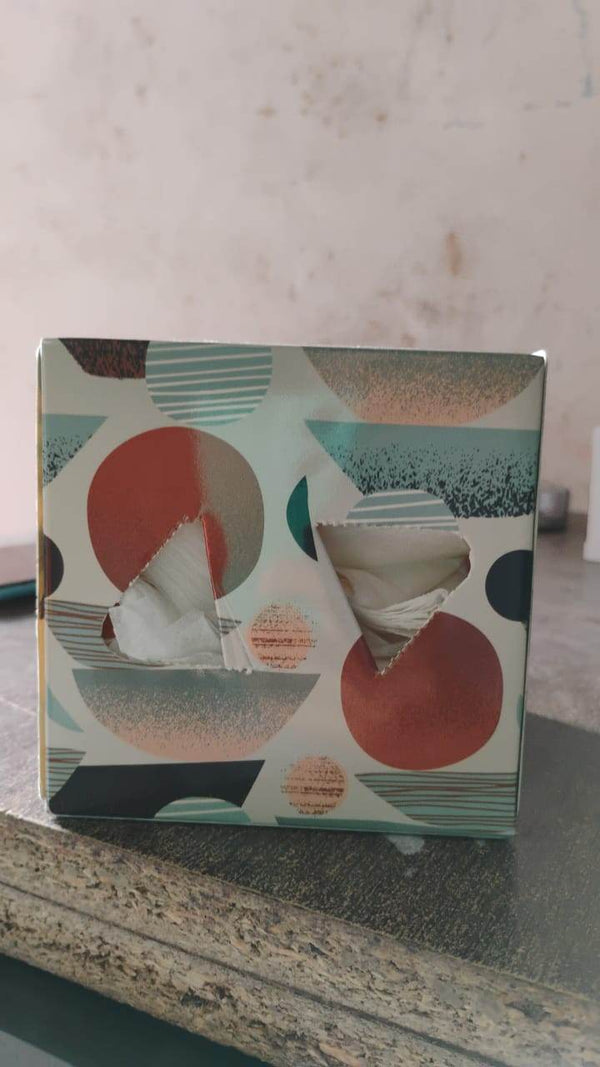 Tissues Cube Box – Stylish and Practical Tissue Holder for Home & Office (50 Pcs Set Approx) - dailyneed.life