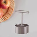 Corer Pear Core Separator Vegetable Core Remover Seeder Cutter Pitter Fruit Hole Remover Coring Tool (1 Pc) - dailyneed.life