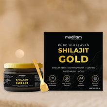 Himalayan Shilajit Gold Resin – 20g | Helps improve Stamina | Contains Gold - dailyneed.life