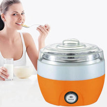 Electronic Yogurt Maker, Automatic Yogurt Maker Machine 1L Yoghurt Plastic Container for Home Use - dailyneed.life