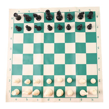 Small Premium Portable Chess Set Plastic Chess Pieces (1 Set) - dailyneed.life