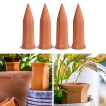 Self Plant Watering Spikes (4 Pcs Set) - dailyneed.life