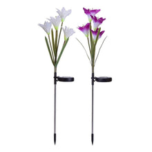 Waterproof Outdoor Solar Lily Flower Stake Lights ( Pack Of 2 pcs ) - dailyneed.life