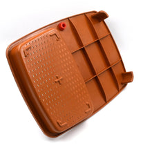 Cut & Wash Box & Tray – Versatile Kitchen Tool for Fruits & Vegetables - dailyneed.life