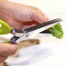Multifunction Vegetable Stainless Steel Herbs Scissor with 3 Blades - dailyneed.life