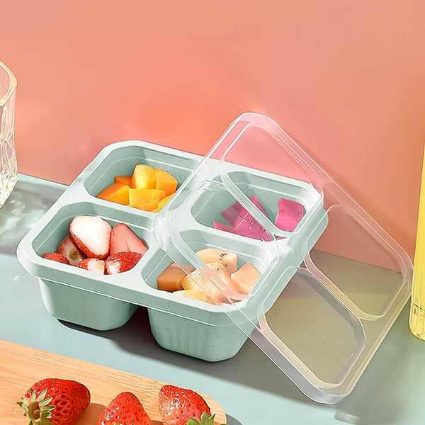 4 Compartment Food Storage Containers (1 Pc) - dailyneed.life