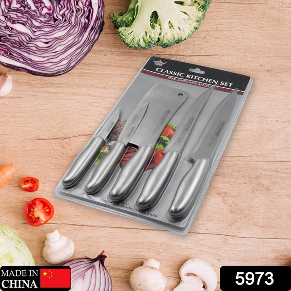 Big Size Professional Sharp Durable Quality Pack of 5 Kitchen Knives Set Basic Kitchen Tools-Stainless Steel Kitchen Gadgets (5 Pc Set) - dailyneed.life