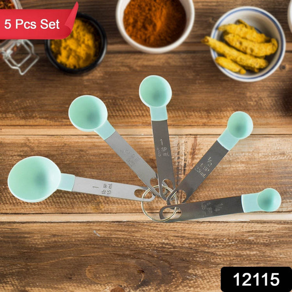 Stainless Steel and Plastics Measuring Spoon (Set of 5 Pc) - dailyneed.life