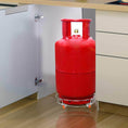 Stainless Steel Gas Cylinder Trolley with Wheels LPG Cylinder Roller Stand Movable Trolley - dailyneed.life