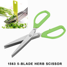 Stainless Steel 5-Blade Herb Scissors - dailyneed.life