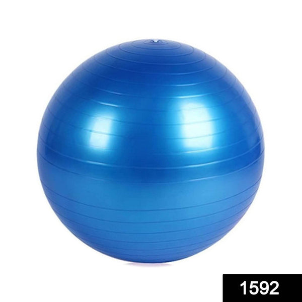 Anti-Burst Exercise Heavy Duty Gym Ball (Multicolour) (75Cm) - dailyneed.life