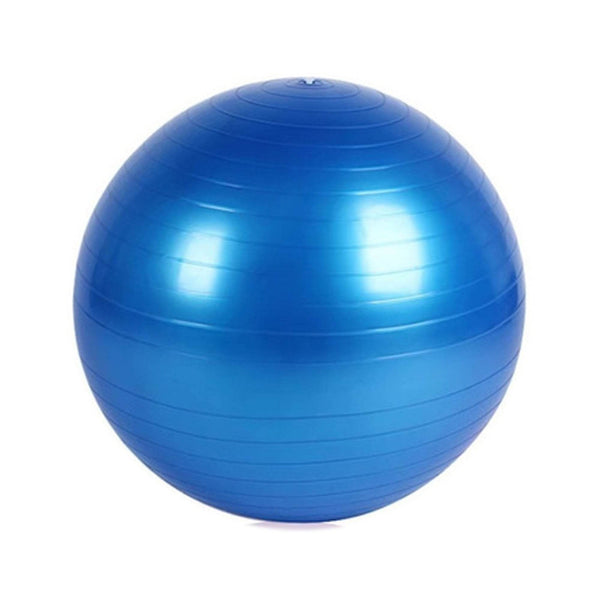 Anti-Burst Exercise Heavy Duty Gym Ball (Multicolour) (75Cm) - dailyneed.life