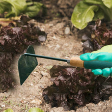 Gardening Hoe Tool with Handle - dailyneed.life