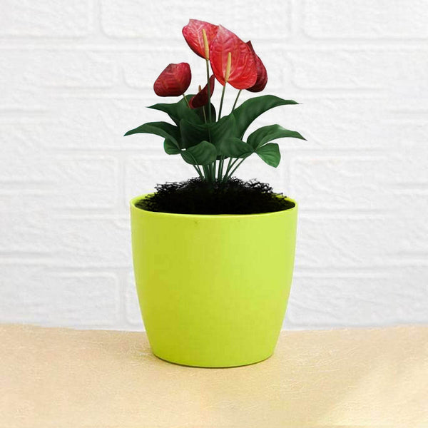 Flower Pots Round Shape For Indoor / Outdoor Gardening - dailyneed.life