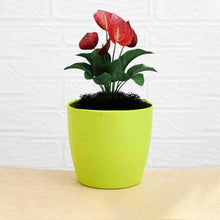 Flower Pots Round Shape For Indoor / Outdoor Gardening - dailyneed.life