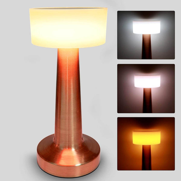 LED Lamp with Touch Control | Decorative Desk Lamp, Portable Metal LED Table Lamp, USB Rechargeable, 3 Color, 3 Levels Brightness, Dimmable Eye Protection Modern Lamp for Home Decor Party Kids Room Bedroom (1 Pc) - dailyneed.life