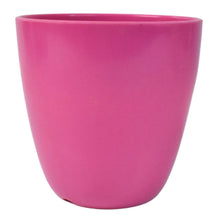 Plastic Flower Valencia (Pot) Home and Outdoor (1 Pc/Mix Colour) - dailyneed.life