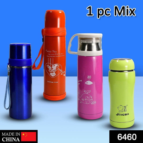 Stainless Steel Mix Bottle for Water & Beverages (1 Pc) - dailyneed.life