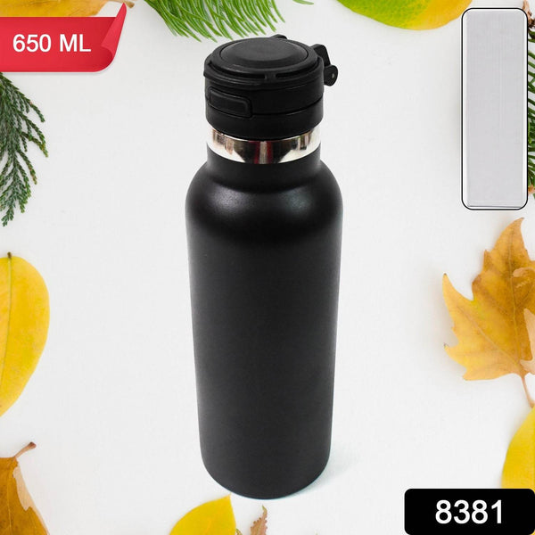Water Bottle for Kids – Insulated Stainless Steel Bottle (650 ML / 1 Pc) - dailyneed.life