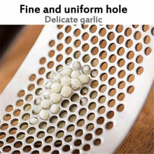 Stainless Steel Garlic Presser / Crusher (Multicolor) - dailyneed.life