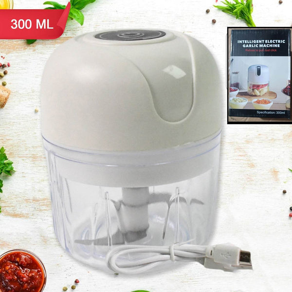 USB Rechargeable Mini Electric Garlic Machine / Chopper (300 Ml / 1 Pc) - dailyneed.life