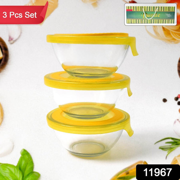 Dazzle Glass Bowl Set Mixing / Storage Bowls with Lids (3 pcs Set) - dailyneed.life