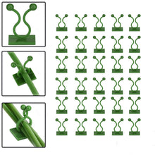 30pcs wall Plant Climbing Clip widely used for holding plants and poultry purposes and all (Box/30 Pcs Set) - dailyneed.life