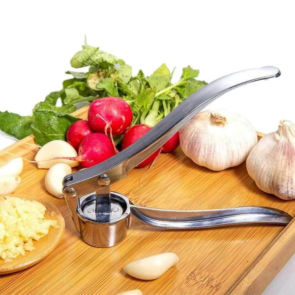 Stainless Steel Garlic Press Crusher - dailyneed.life
